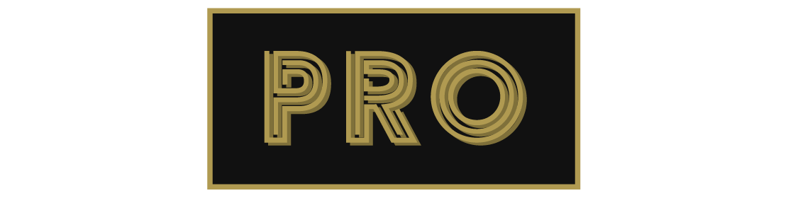 Carveco Pro Logo